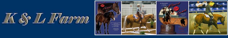 K&L Farm ~ Poco Dot Lena ~ Starpion N Stars ~ K&L Western Store; Ken & Lowanda McDowell